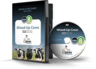 Mixed-Up Cows